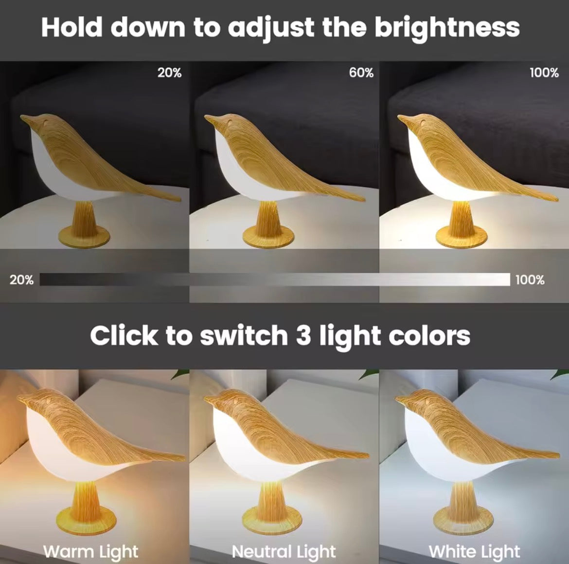 Robin LED Touch-Control Lamp